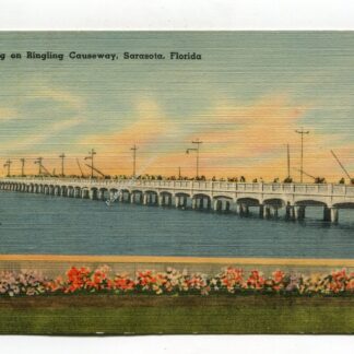 fishing-on-ringling-causeway-sarasota-florida-1142