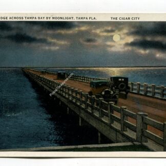 gandy-bridge-across-tampa-bay-by-moonlight-tampa-florida-the-cigar-city-1237