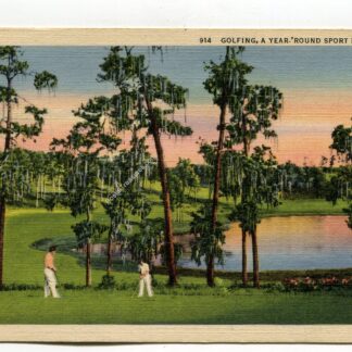 golfing-a-year-round-sport-in-florida-1283