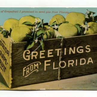 greetings-from-florida-1238