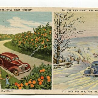 greetings-from-florida-to-jeer-and-gloat-may-not-be-nice-i-ll-take-the-sun-you-take-the-ice-1278