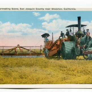 harvesting-scene-san-joaquin-county-near-stockton-california-1125