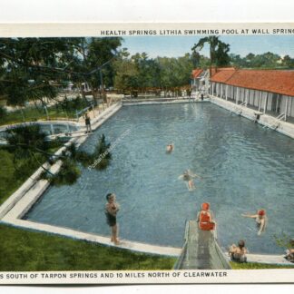 health-springs-lithia-swimming-pool-at-wall-springs-florida-1250