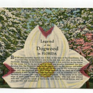legend-of-the-dogwood-in-florida-1166
