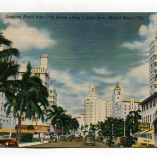 looking-north-from-29th-street-along-collins-ave-miami-beach-florida-1259