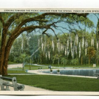 looking-towards-the-picnic-grounds-from-the-spring-ponce-de-leon-springs-florida-1266