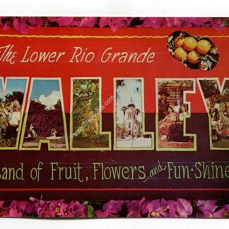 lower-rio-grande-valley-land-of-fruit-flowers-and-fun-shine-1185