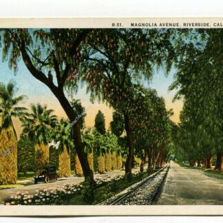 magnolia-avenue-riverside-california-1114