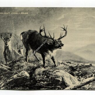 midnight-challenge-1105