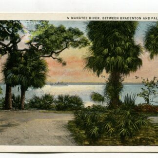 n-manatee-river-between-bradenton-and-palmetto-florida-1269