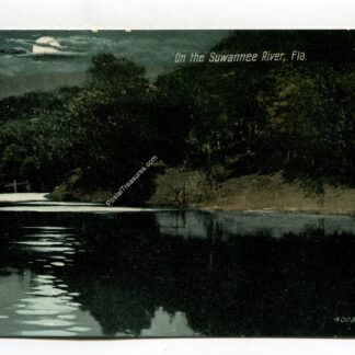 on-the-suwannee-river-florida-1245