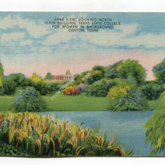 park-view-looking-north-main-building-texas-state-college-for-women-in-background-denton-texas-1187