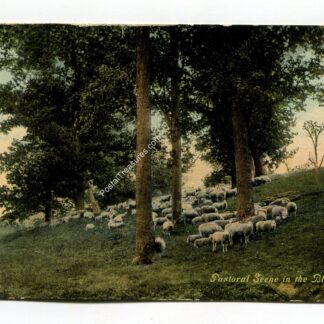 pastoral-scene-in-the-blue-grass-1103