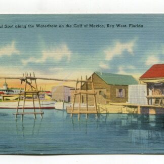 peaceful-spot-along-the-waterfront-on-the-gulf-of-mexico-key-west-florida-1172