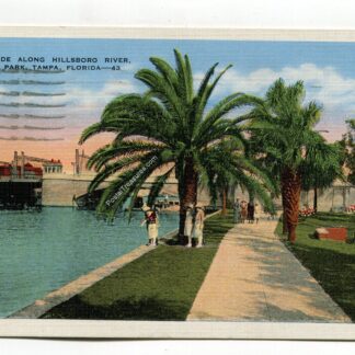 promenade-along-hillsboro-river-plant-park-tampa-florida-1280