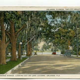 south-orange-avenue-looking-out-on-lake-lucerne-orlando-florida-1264