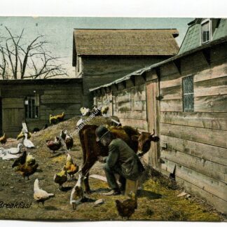 the-cat-s-breakfast-1106