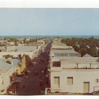 view-of-key-west-from-roof-of-concha-hotel-key-west-florida-1167