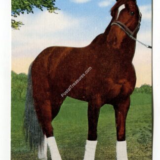 whirlaway-winner-of-1941-kentucky-derby-1075