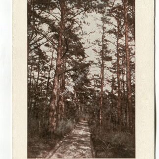 checkerberry-road-lakehurst-new-jersey-1358