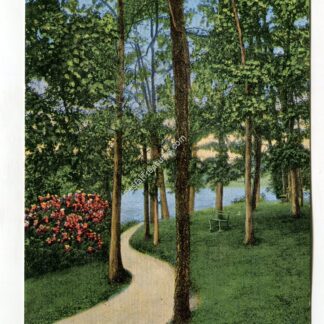 lake-path-lakewood-new-jersey-1362