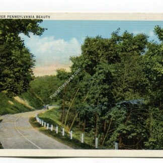 midsummer-pennsylvania-beauty-1304