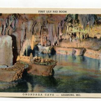 first-lily-pad-room-onondaga-cave-leasburg-missouri-1678