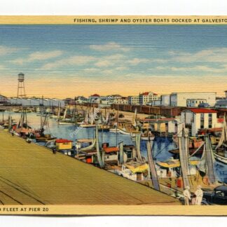 fishing-shrimp-and-oyster-boats-at-galveston-texas-mosquito-fleet-at-pier-20-1553
