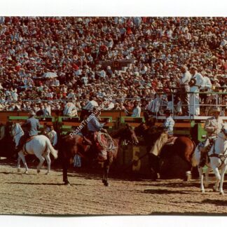 hunstville-prison-rodeo-1542