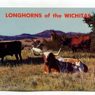 longhorns-of-the-wichitas-1493