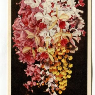 missouri-botanical-garden-bouquet-of-orchids-st-louis-missouri-1598