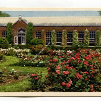 missouri-botanical-garden-rose-garden-st-louis-missouri-1643