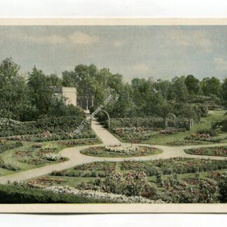 missouri-botanical-garden-st-louis-usa-the-rose-garden-1673