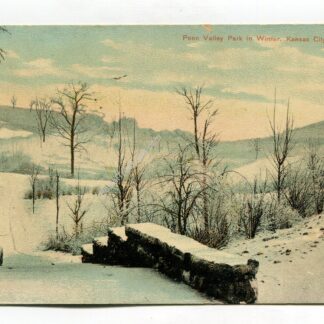 penn-valley-park-in-winter-kansas-city-missouri-1697