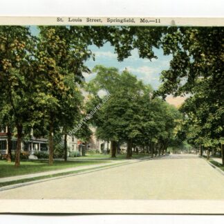 st-louis-street-springfield-missouri-1686