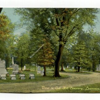 view-in-oak-hill-cemetery-lawrence-kansas-1451