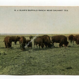 w-j-blair-s-buffalo-ranch-near-dalhart-texas-1380