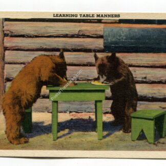 learning-table-manners-1762