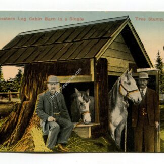 a-northwestern-log-cabin-barn-in-a-single-tree-stump-1940