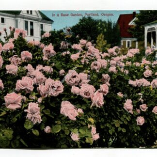 in-a-rose-garden-portland-oregon-2006