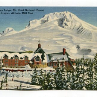 timber-line-lodge-mt-hood-national-forest-oregon-2031