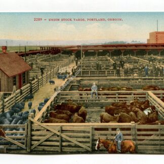 union-stock-yards-portland-oregon-1985