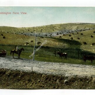 A Washington Farm View