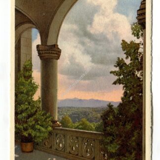 biltmore-house-and-gardens-biltmore-estate-biltmore-north-carolina-2125