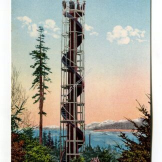 gunther-s-observation-tree-lake-burian-seattle-washington-2117