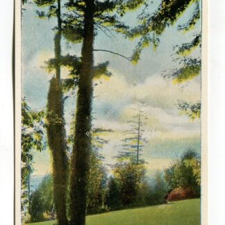 in-kinnear-park-seattle-washington-2104