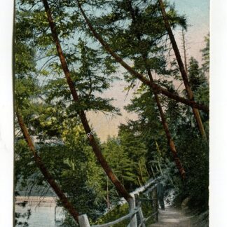 lover-s-lane-natatorium-park-spokane-washington-2089