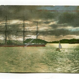 moonlight-on-puget-sound-washington-2098