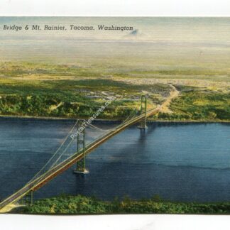 narrows-bridge-and-mt-rainier-tacoma-washington-2185