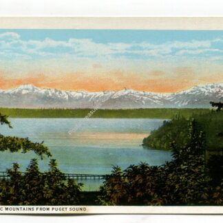 olympia-mountains-from-puget-sound-2057